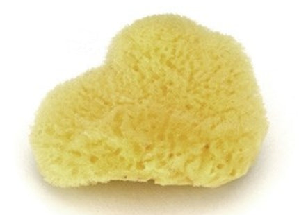 Large Silk Sponge (Caribbean) 3-4"