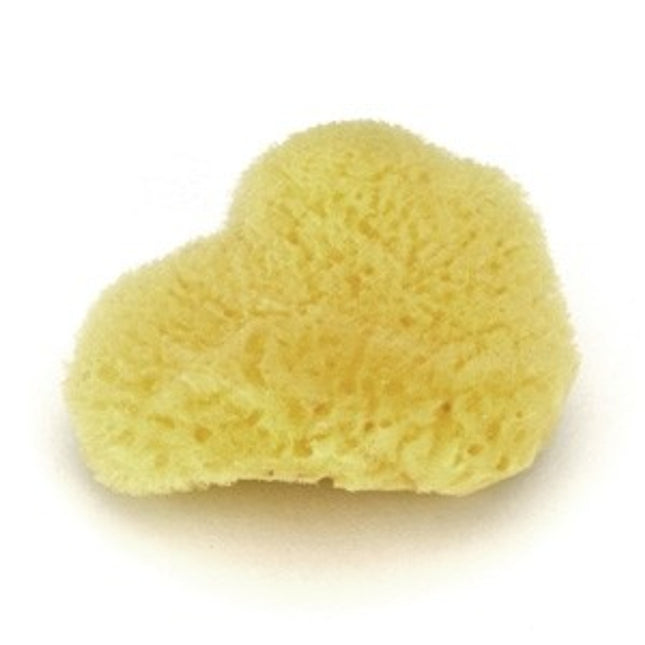 Large Silk Sponge (Caribbean) 3-4"