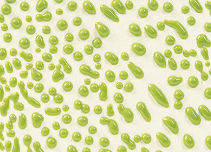 CR-41 Lime ^6