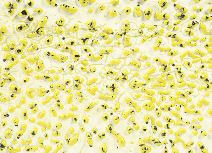 CR-61 Speckled Yellow ^6
