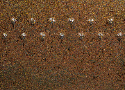 PC-69 Cosmic Gold Dust ^6