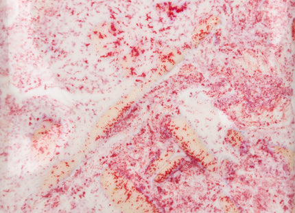 SW-226 Pink Pearl, Pint