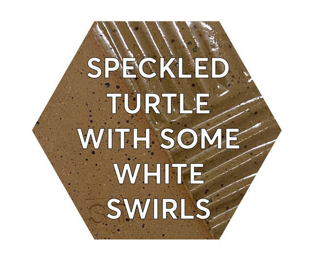 Speckled Turtle Transition Batch 25# DELIVERED