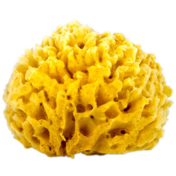 Natural Wool Sponge Large 3 1/2 - 4"