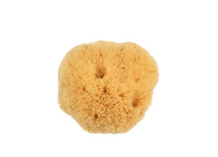 Small Silk Sponge 2 1/2-3"