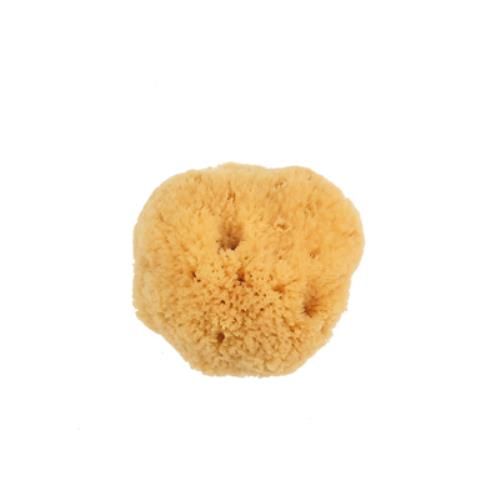 Small Silk Sponge 2 1/2-3"