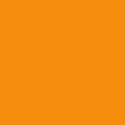 Mason 6027 Tangerine - Kentucky Mudworks
