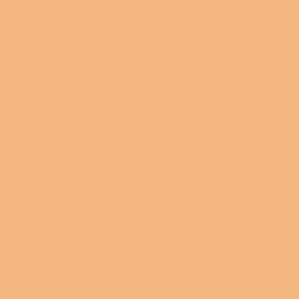 Mason 6121 Saturn Orange - Kentucky Mudworks