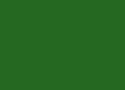 Mason 6200 Evergreen - Kentucky Mudworks