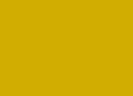 Mason 6471 Old Gold - Kentucky Mudworks